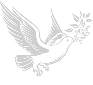 bird-fly